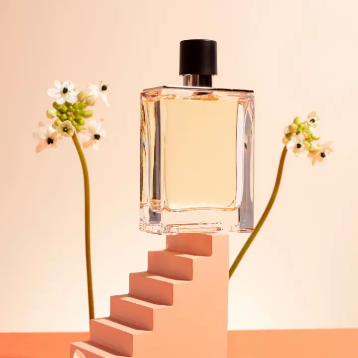 bisnis jualan online